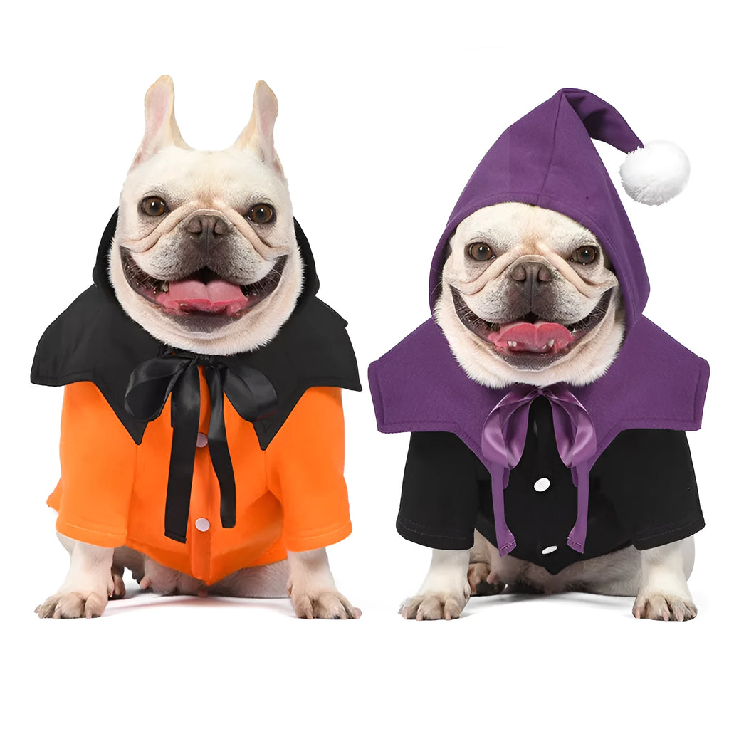 Halloween pumpkin dog costume with black and orange sweater and shawl on dog