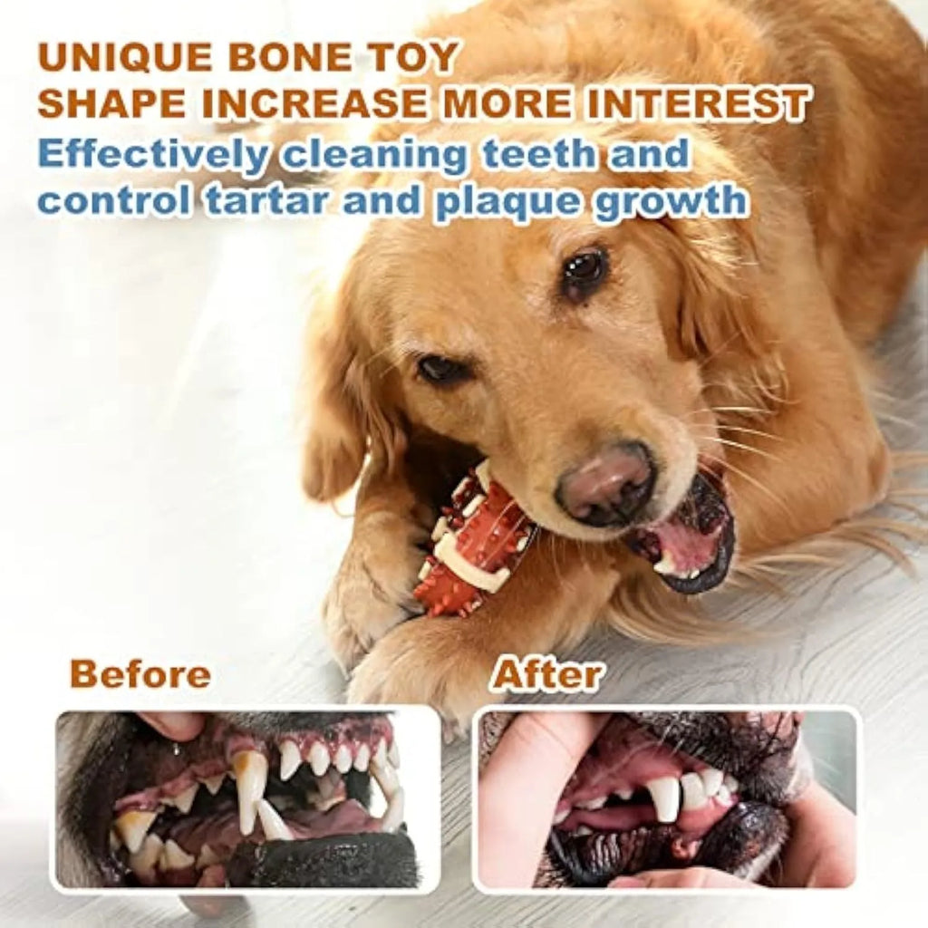 Natural rubber bone-shaped dog chew toy for teeth cleaning shown in two sizes.