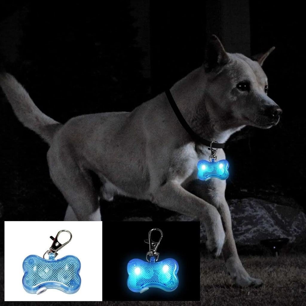 Blue bone-shaped LED luminous pendant attached to a black cat collar showing a steady white light.