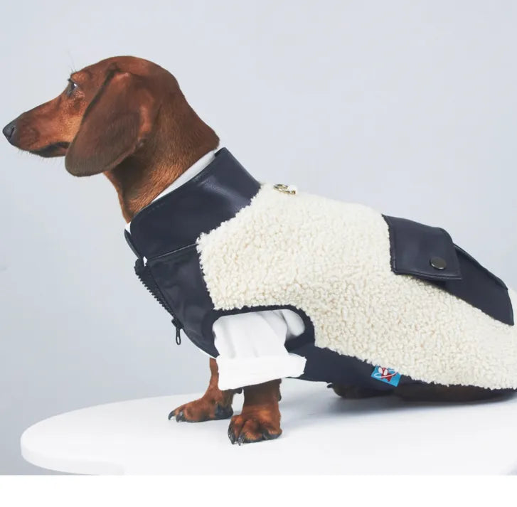 Dog or cat wearing a lambswool autumn winter coat with small leather pocket in black colour