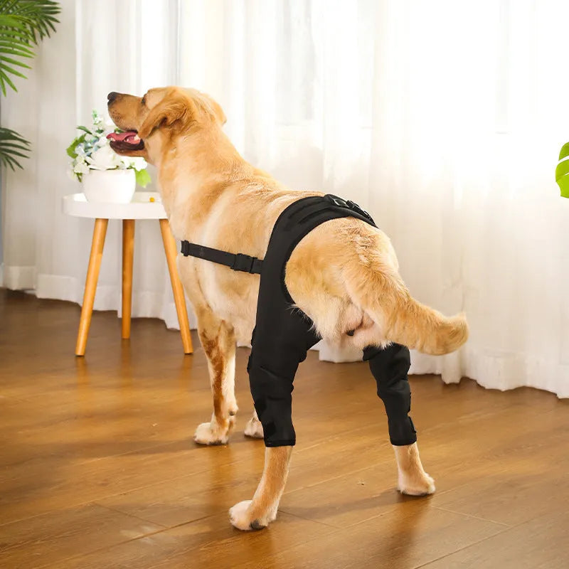 Dog leg protector pair in cloth, black or blue, sizes XS S M L, pet joint protective cover