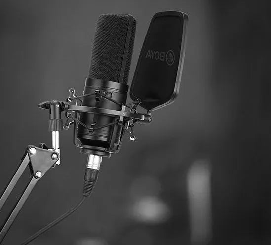 Black large diaphragm capacitive microphone with intelligent noise reduction for K song, computer, and mobile phone recording