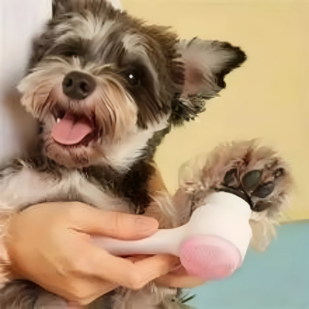 Blue handheld pet paw brush with nylon bristles for cleaning dog and cat paws.