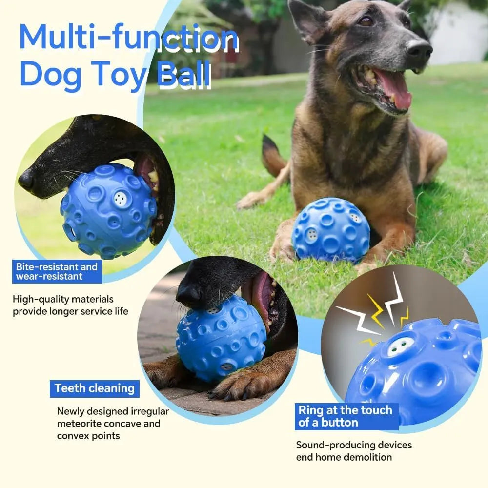Durable elastic rubber dog toy ball in assorted colours with a textured surface for teeth cleaning.