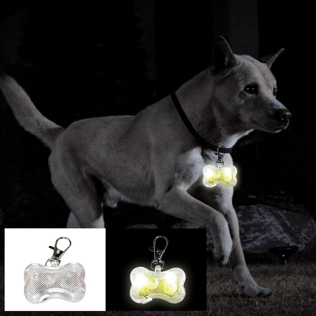 Blue bone-shaped LED luminous pendant attached to a black cat collar showing a steady white light.