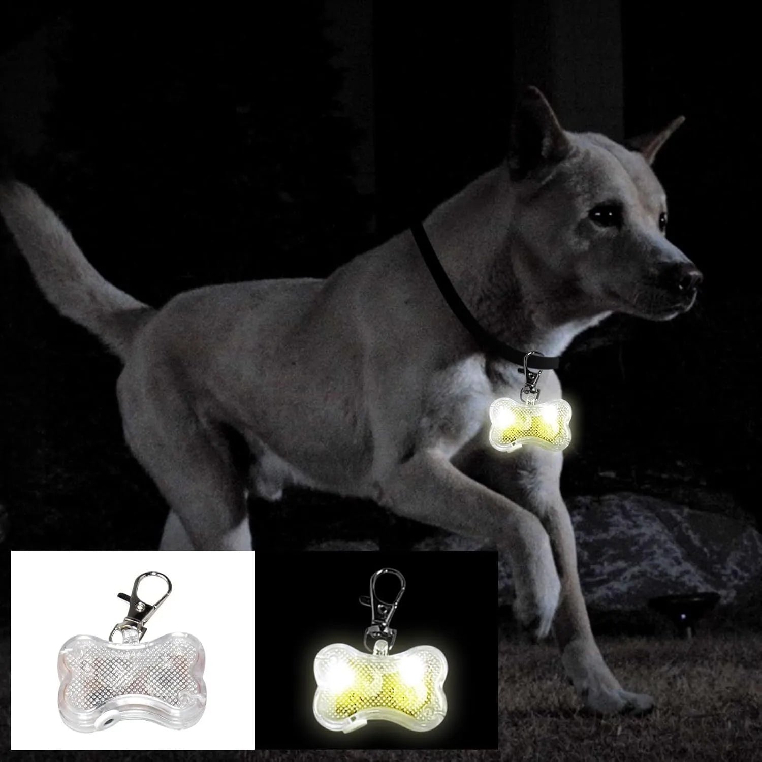 Blue bone-shaped LED luminous pendant attached to a black cat collar showing a steady white light.