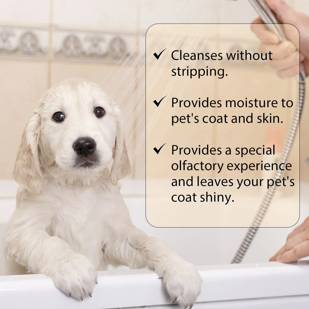 Bottle of mild dog shampoo for soft, tangle-free hair in 100ml and 300ml sizes
