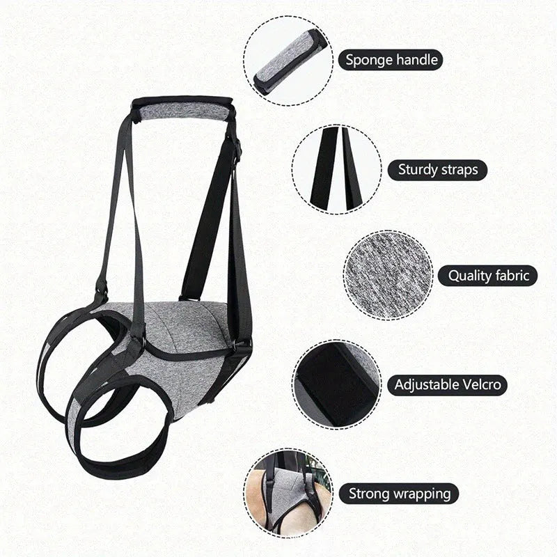 Grey neoprene dog rear leg recovery belt showing adjustable sizing for canine injury rehabilitation support