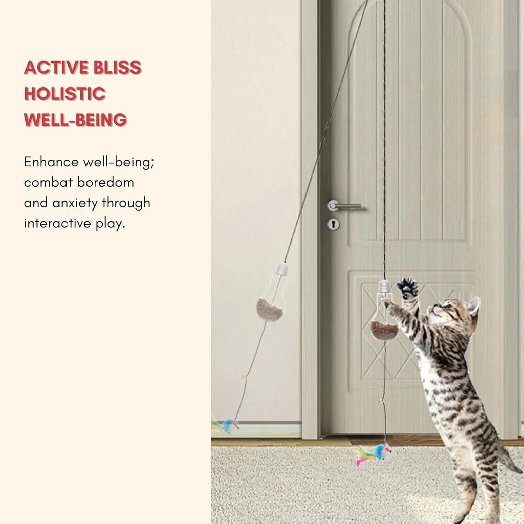 Interactive cat toy with swinging motion hanging from door frame featuring treat reward bulb and retractable elastic cord