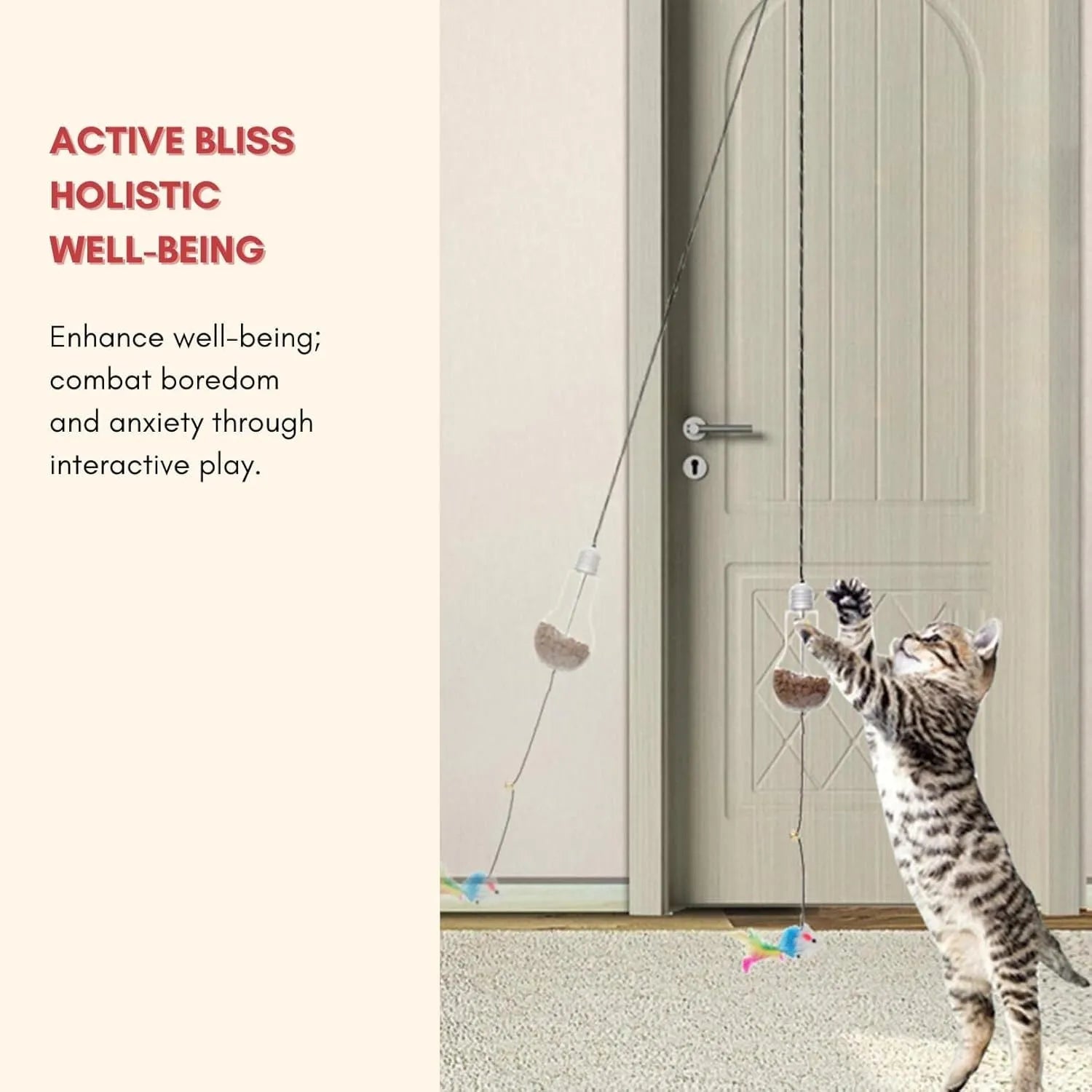 Interactive cat toy with swinging motion hanging from door frame featuring treat reward bulb and retractable elastic cord