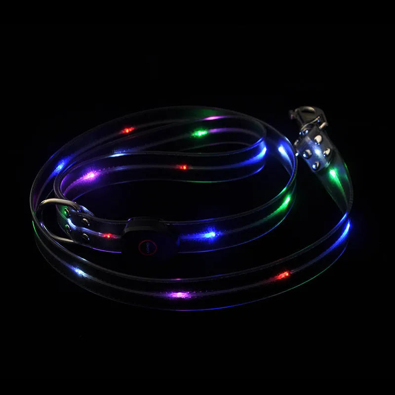 Luminous PVC dog leash in fluorescent green with 120cm length and 25mm width