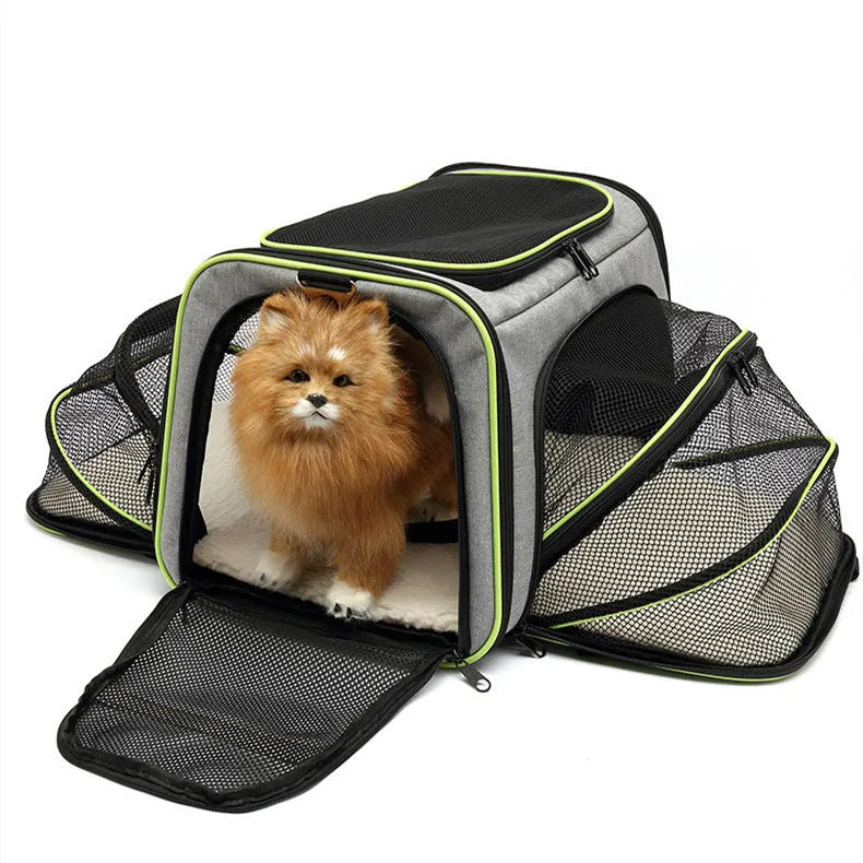 600D cation cat bag in small and large sizes with solid colour design