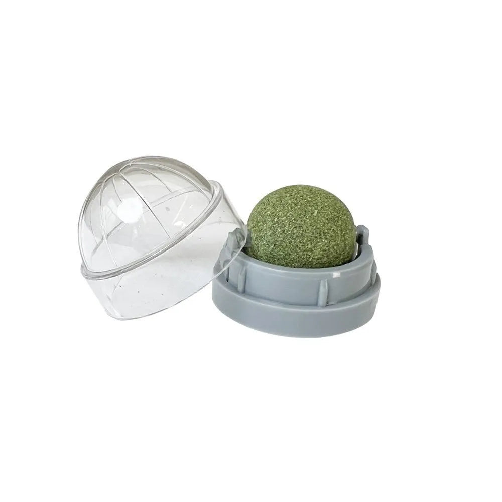 Plastic catnip ball toy in various colours for feline dental care and play