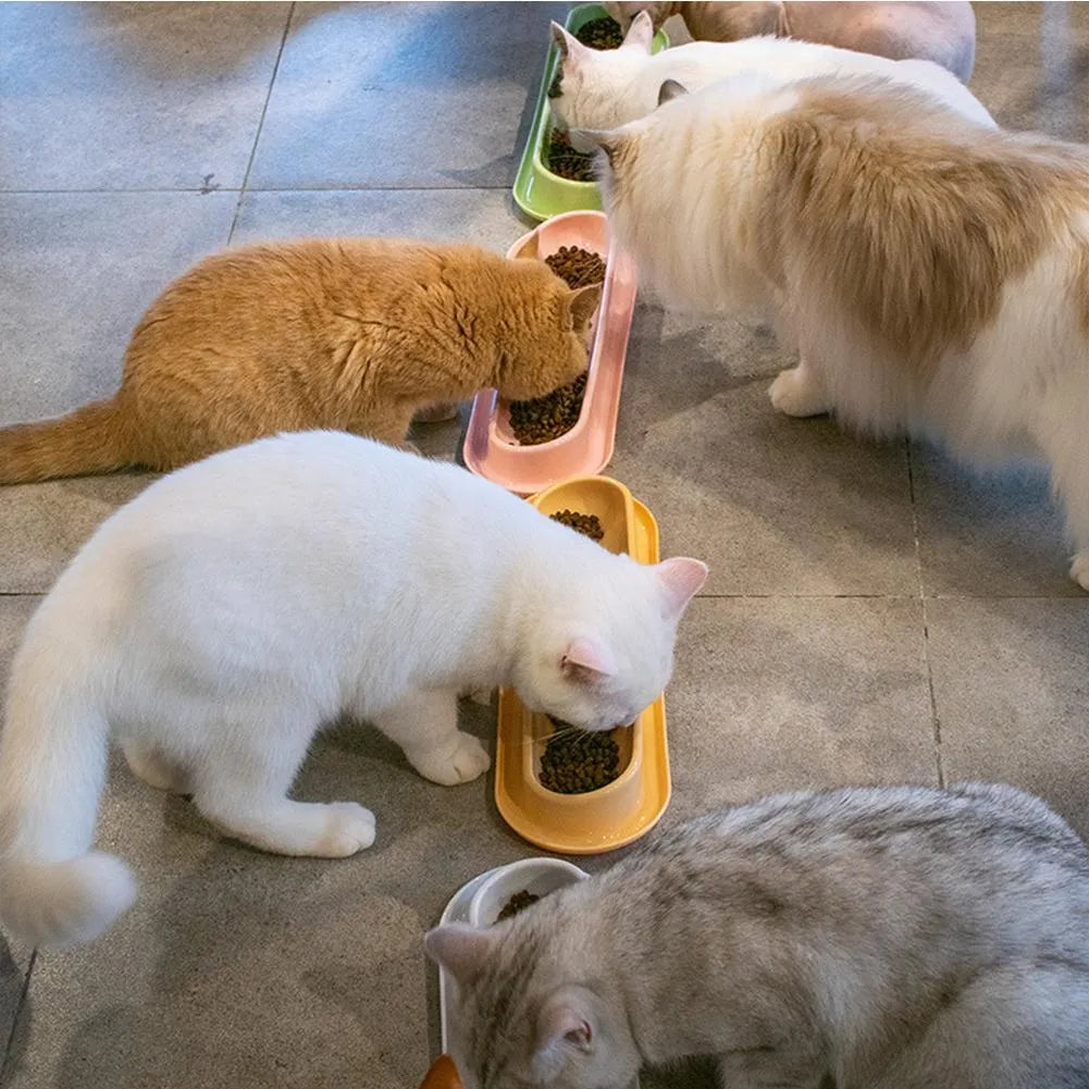 Green leakproof pet feeder bowls with non-slip base for dog and cat feeding