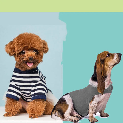 Anxiety jacket vest for dogs and cats in dark grey, summer calming pet clothes with adjustable fit
