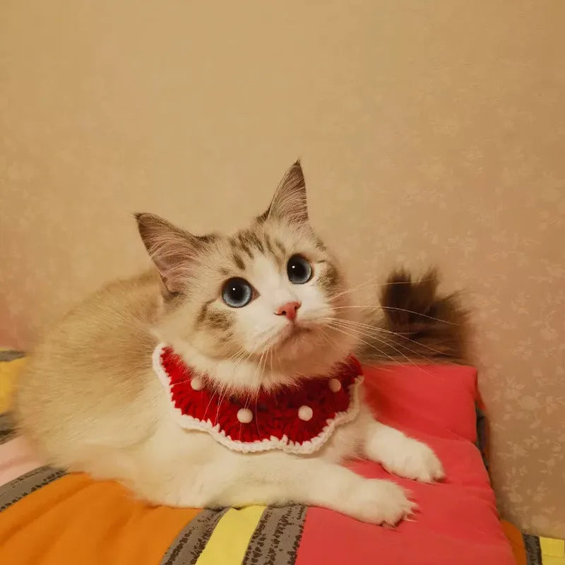 Milk cotton knitted pet collar with cartoon pattern in customisable colours and sizes for cats dogs rabbits