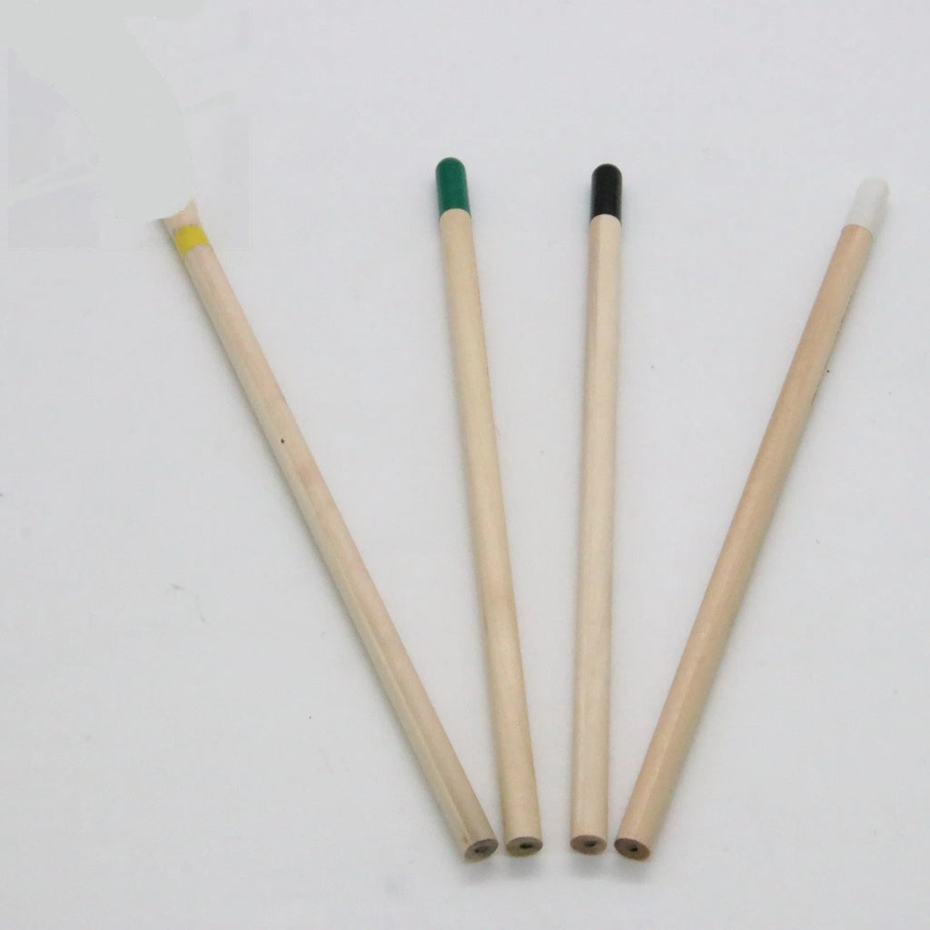 Seed pencil with coloured degradable capsule containing plantable seeds next to a small potted seedling.