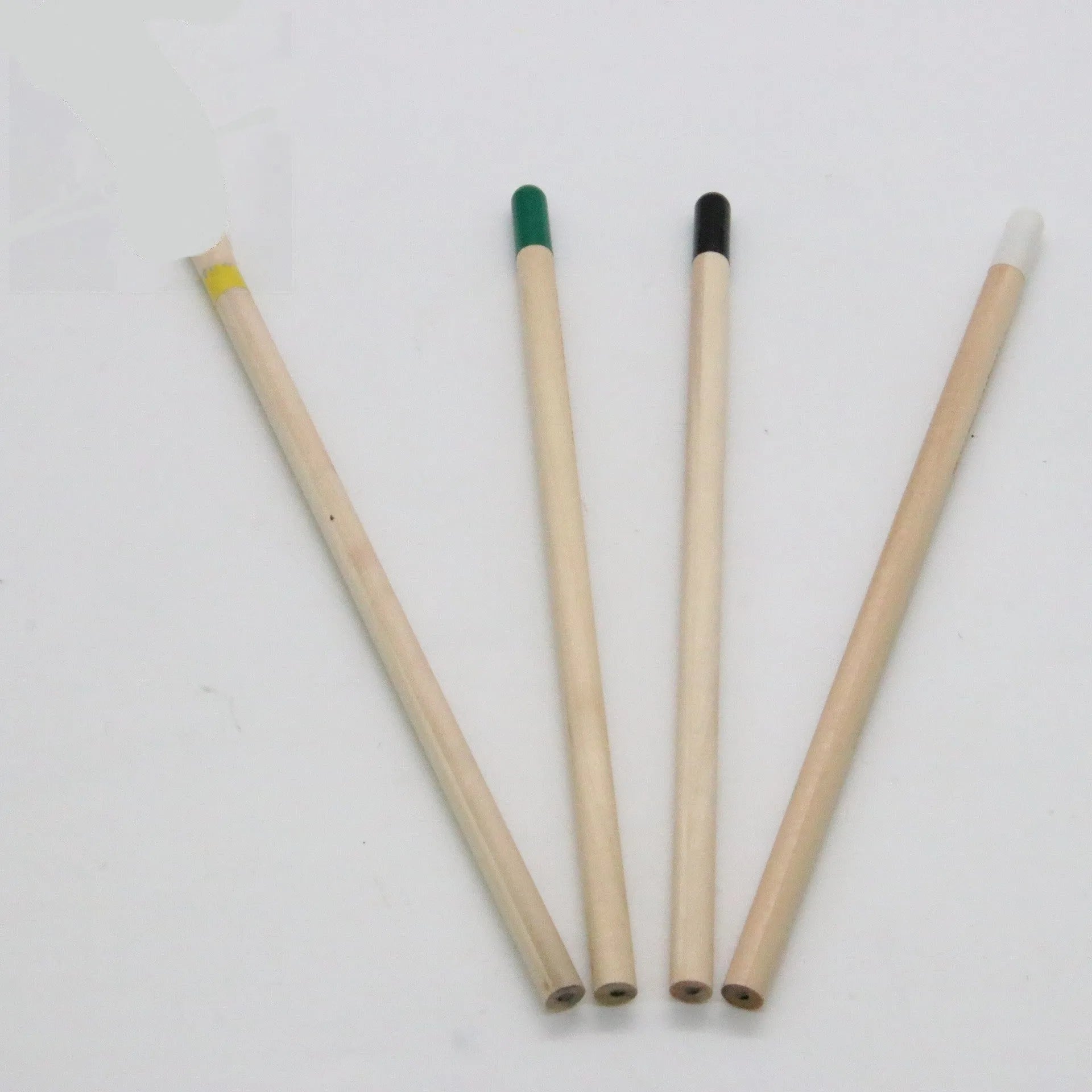 Seed pencil with coloured degradable capsule containing plantable seeds next to a small potted seedling.