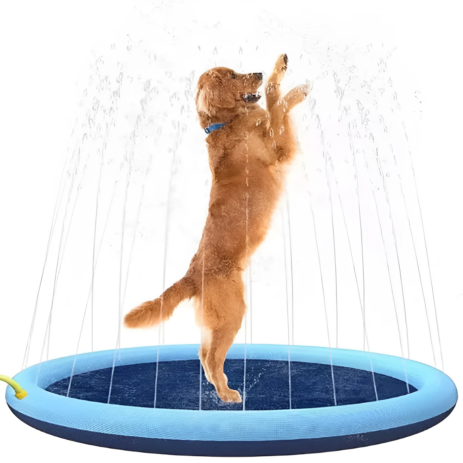 Large blue dog splash pad with textured anti-slip base on grass, with a dog playing in the shallow water.