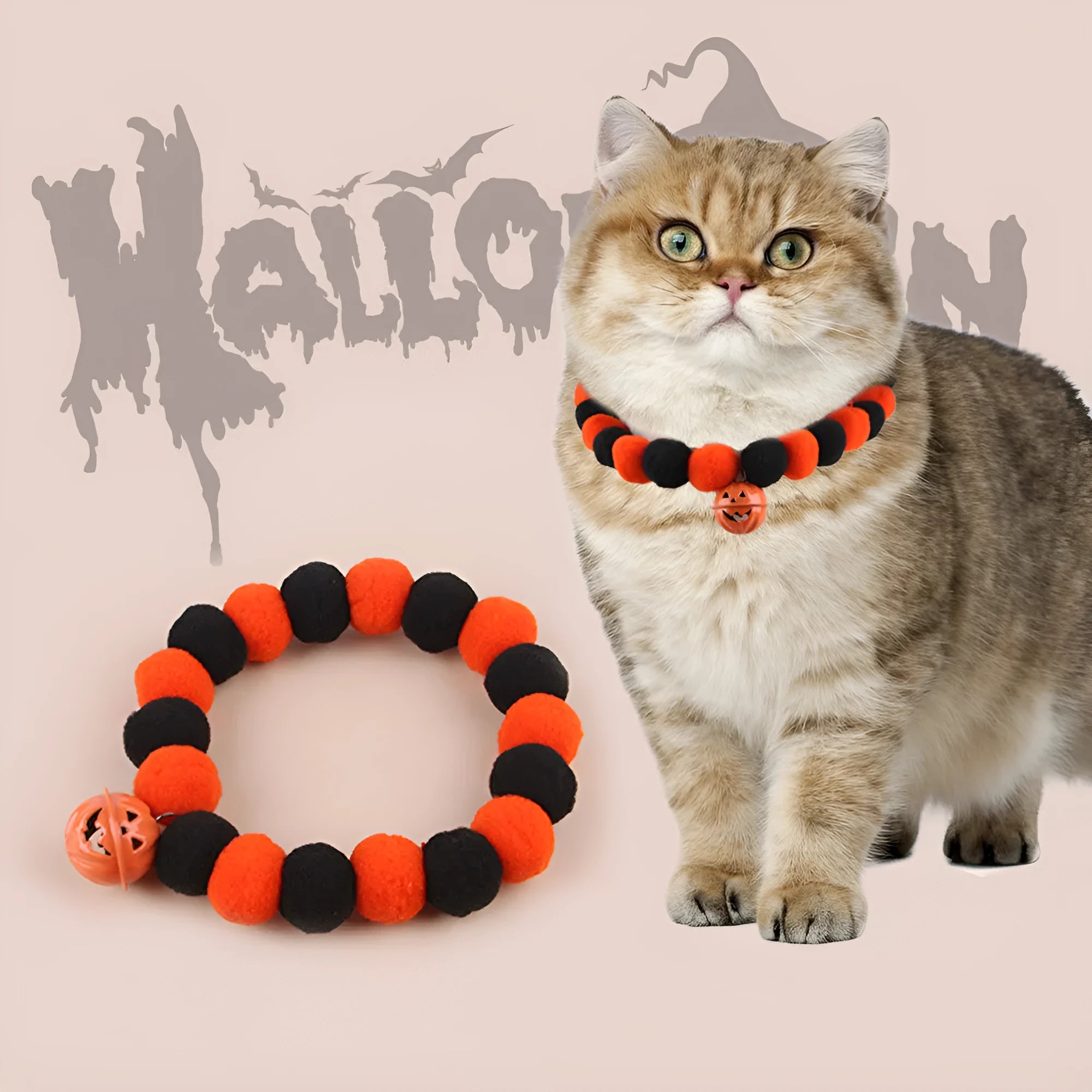 Orange pumpkin print cat collar with plastic buckle and small metal bell attached.