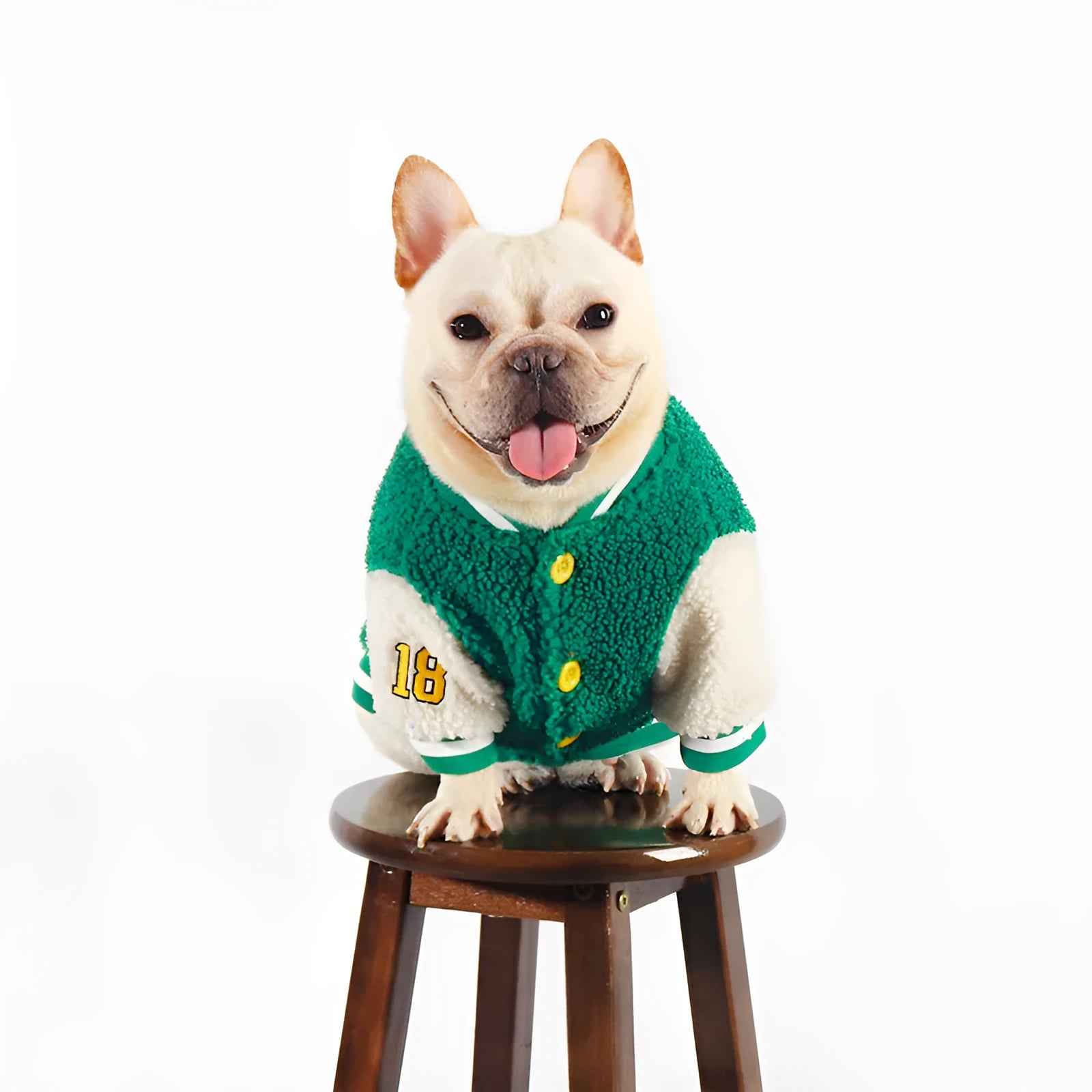 Green fleece-lined cotton dog winter coat showing size options L to 4XL