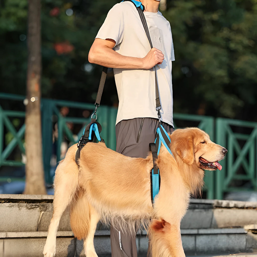 Blue polyester dog auxiliary strap hand-holding walking lead