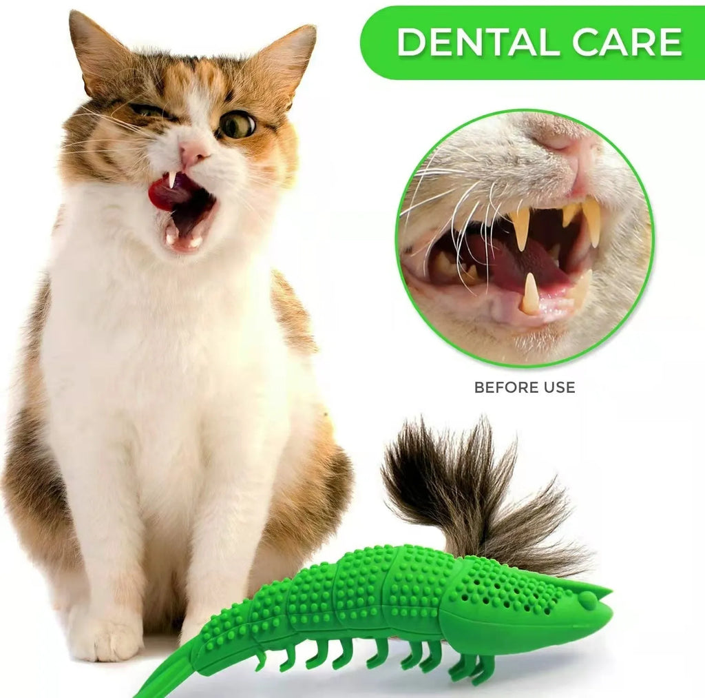 Blue cat toy with rubber toothbrush design for dental cleaning during play