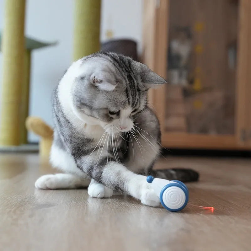 Electric cat mouse toy in blue or yellow, 60x50x36mm, USB rechargeable 135mAh, ABS TPU PVC
