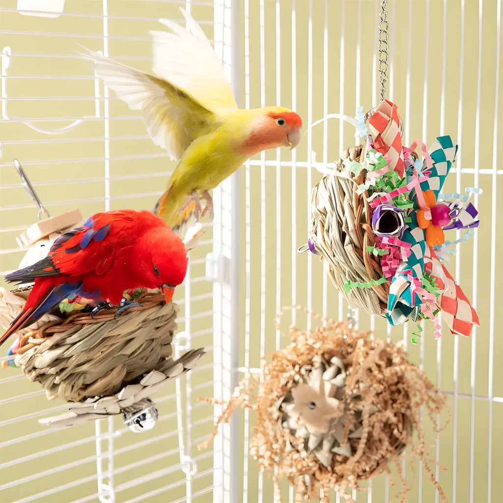 Parrot gnawing molar enrichment toy with three configuration options for beak stimulation