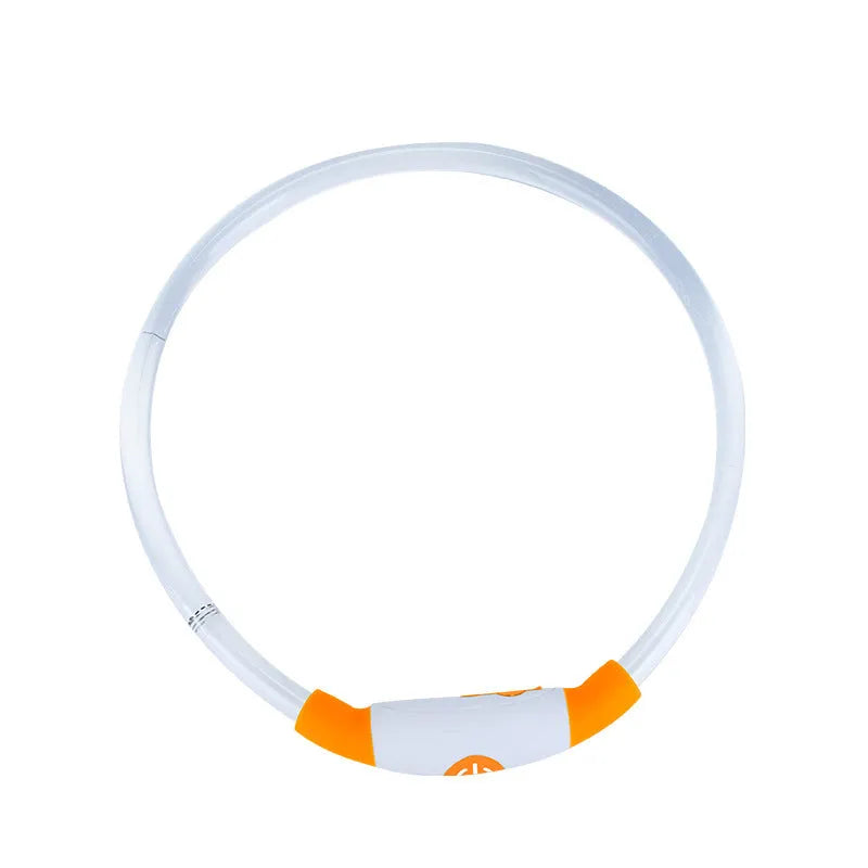 Blue USB rechargeable LED dog collar glowing on a dog's neck at night.