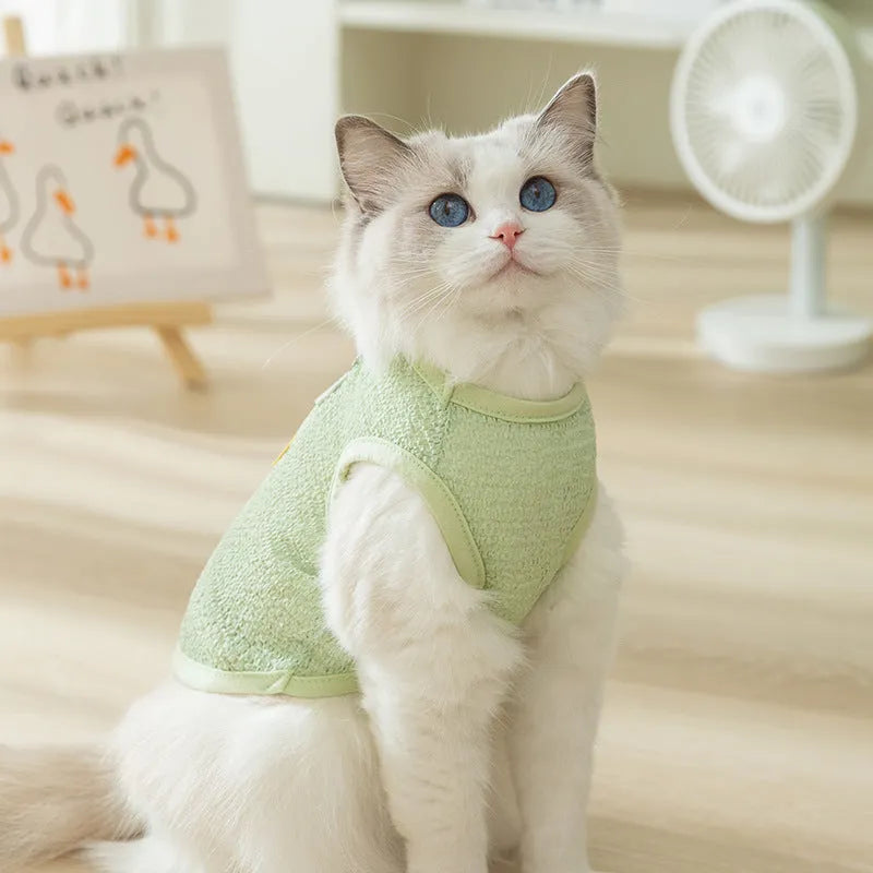 Cat wearing hollowed-out bear patch clothes in knitted fabric with breathable design