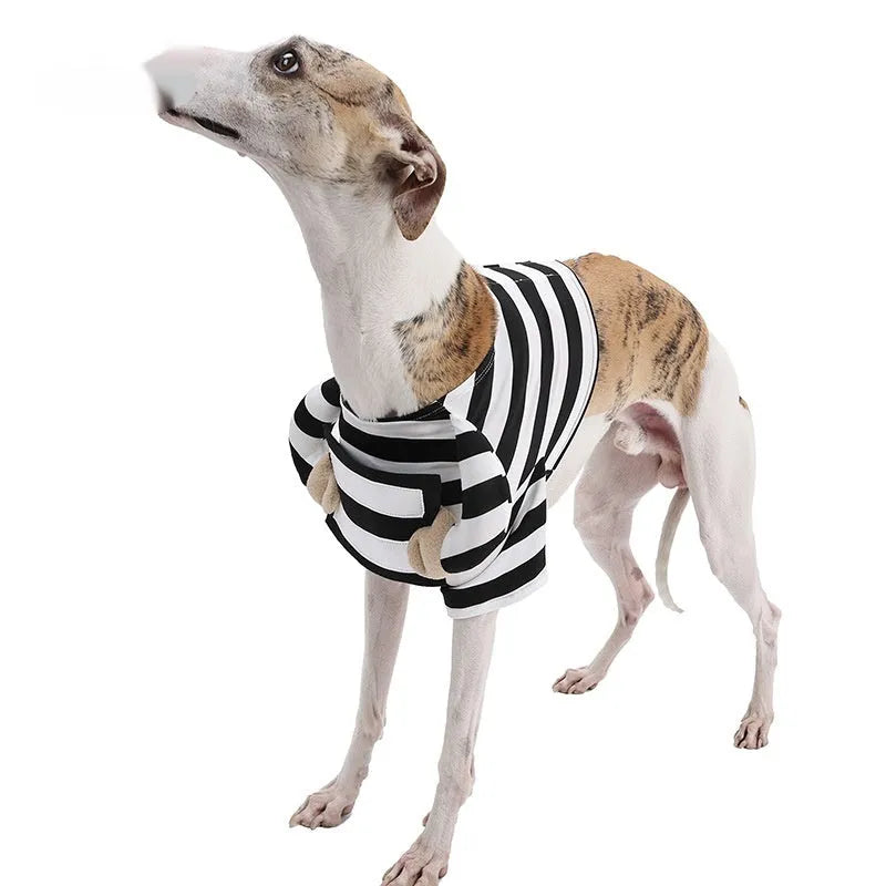 Black and white striped dog Halloween pet costume made from polyester on a white background