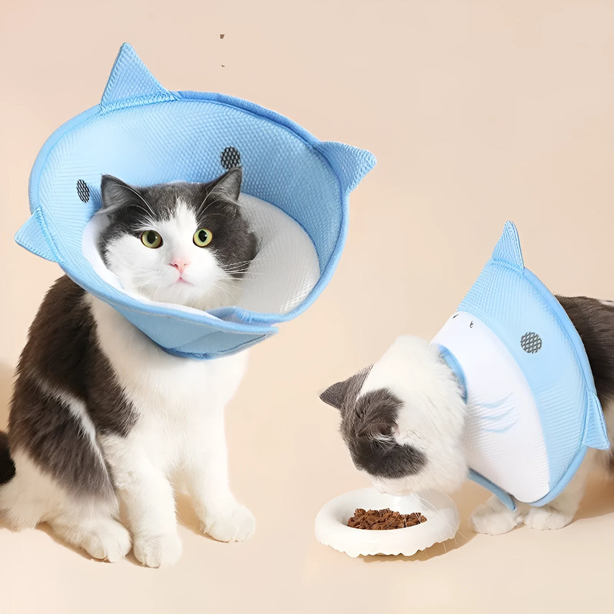 Pet protective cover in blue shark cartoon pattern made of mesh cloth for cats and dogs