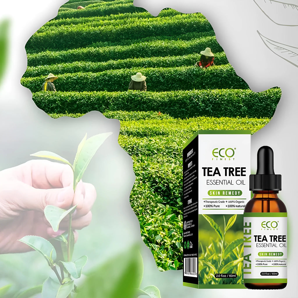 60ml bottle of tea tree essential oil for acne treatment and massage applications