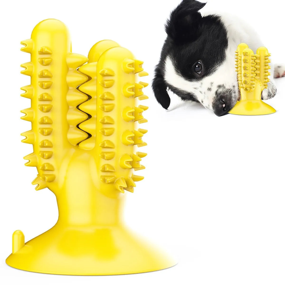 TPR silicone dog molar toy in Cactus Lake Blue colour on white background