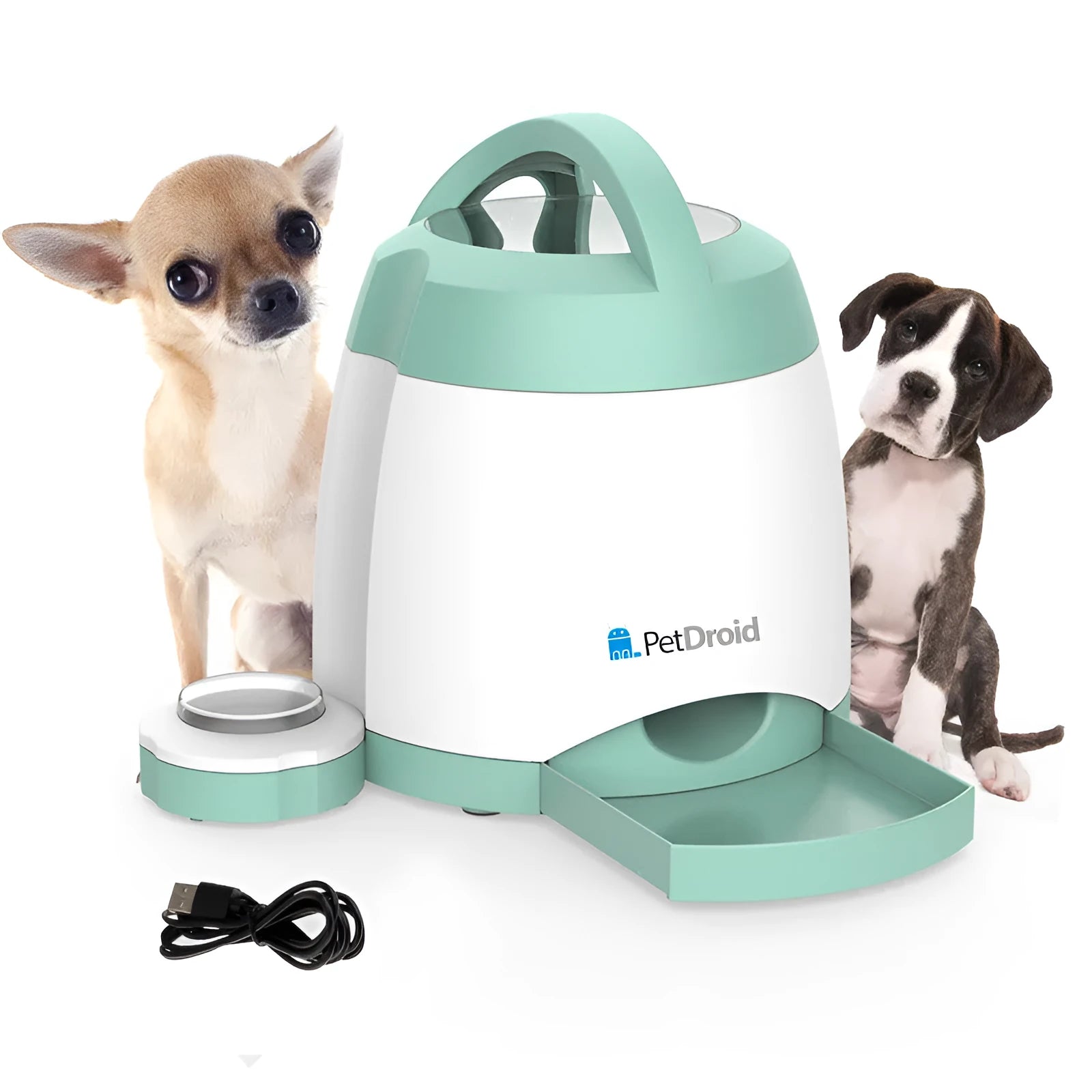 Light green creative dog button push type automatic feeder with USB cable, 20x20x24 cm size