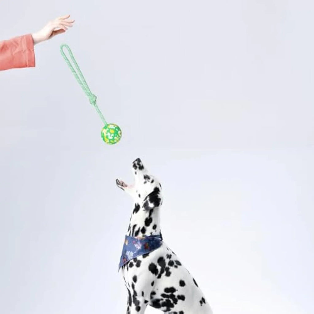 Natural rubber dog ball attached to a nylon rope for fetch and tug-of-war games.
