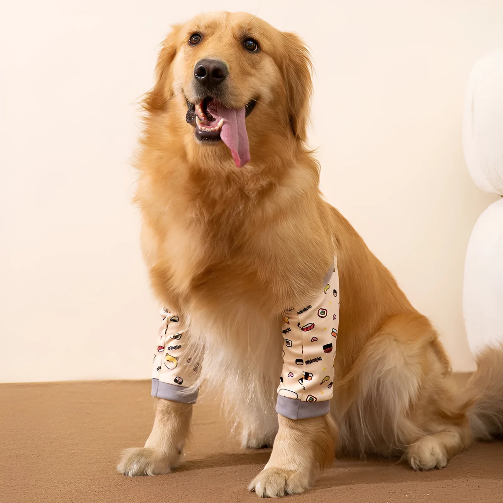 Adjustable dog knee protector with padded elbow patch and matching scarf in blue colour