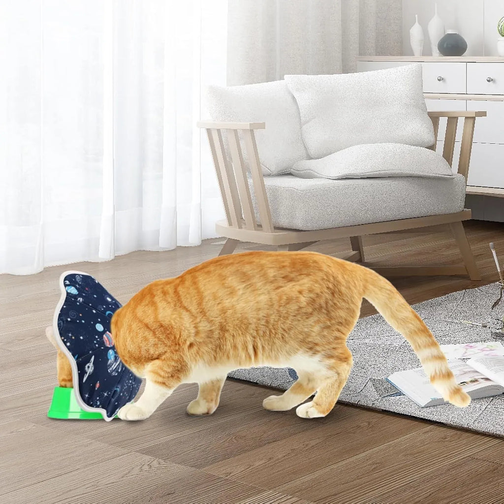 Soft cat recovery collar in constellation colour showing adjustable fastener and soft interior padding
