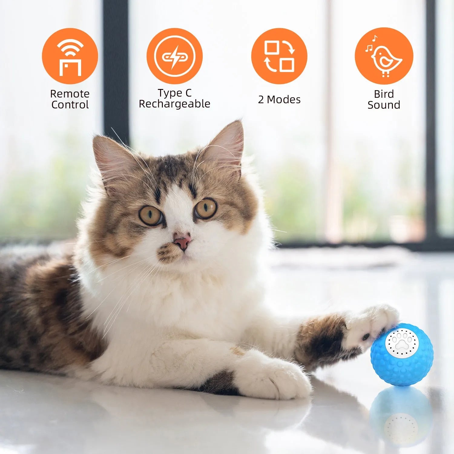 Remote control cat toy ball in blue, green and yellow colours with rolling motion and sound effects