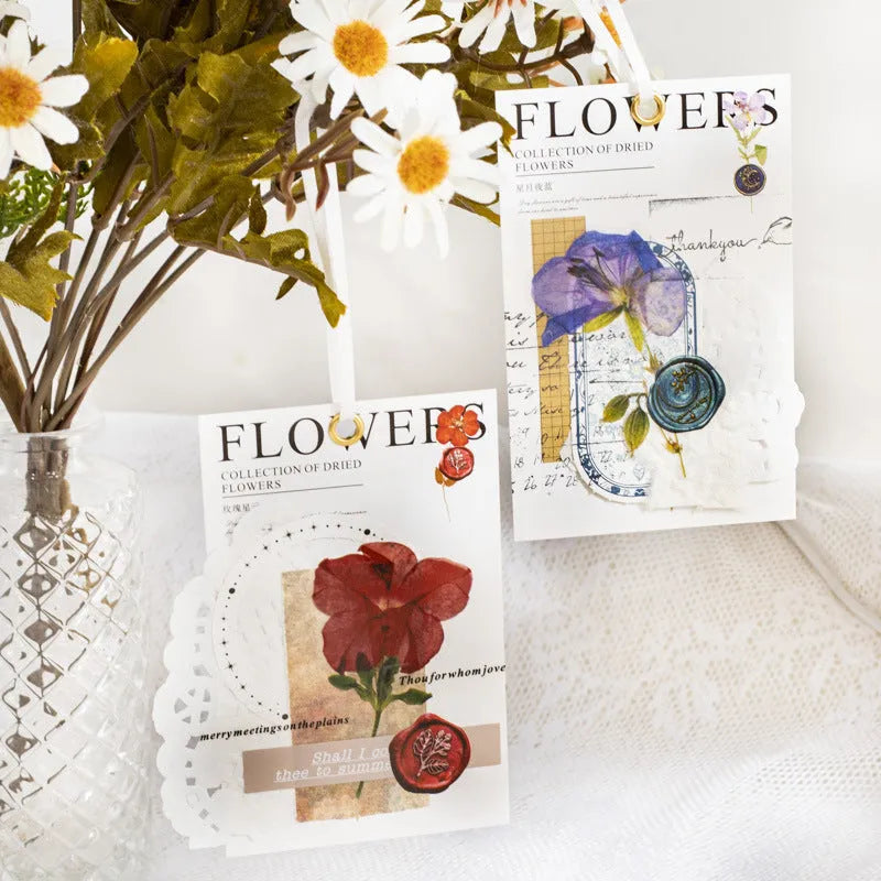 Package of colourful creative dried flower journal stickers showing eight different modern art style designs on clear PET sheets.