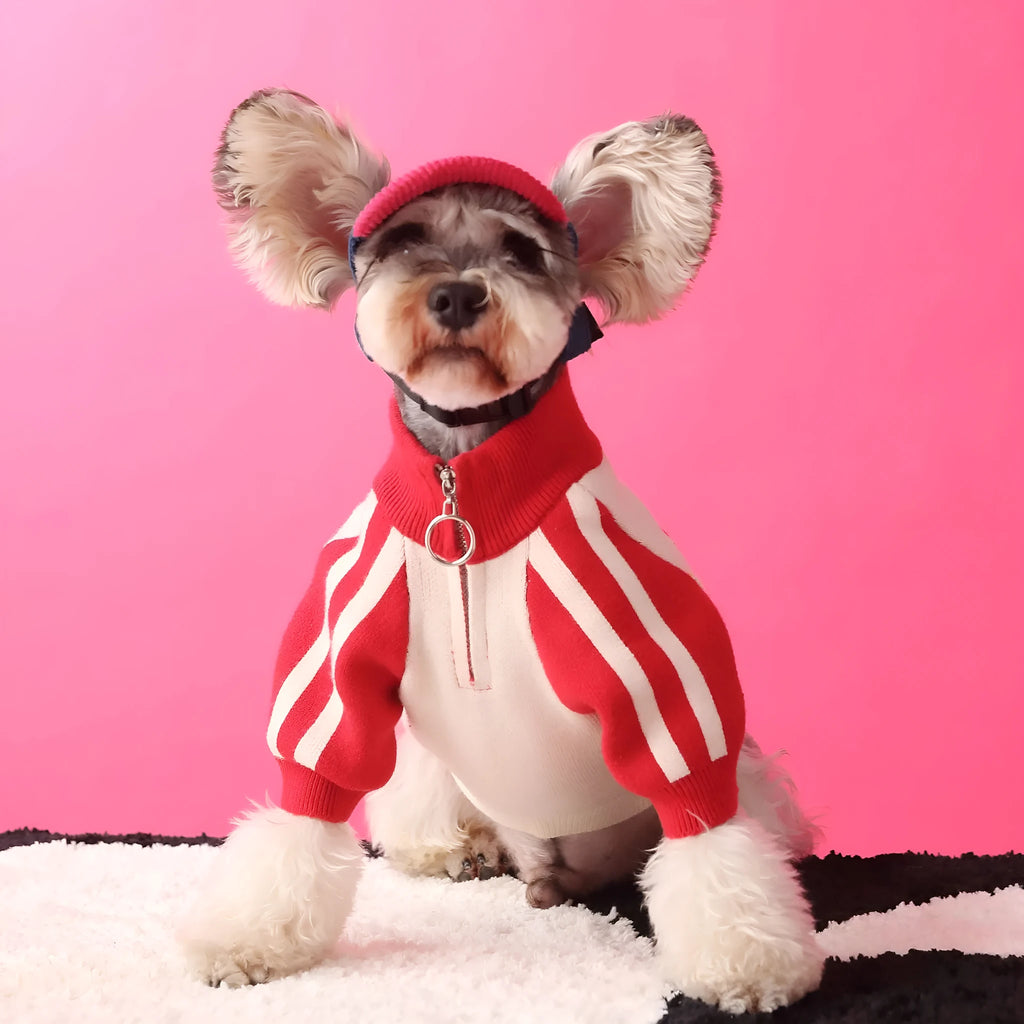 Dog wool cardigan sweater for male puppies in dark green or red colour without accessories