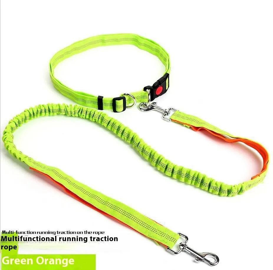 Grey and green two-tone nylon dog leash with reflective strip, showing 2.5cm width and clip.