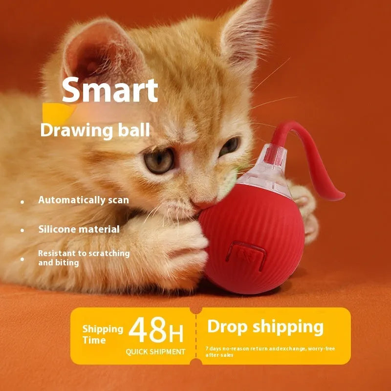 Interactive electronic cat toy ball with coloured lights on a carpet, showing Magic Tail and With Rope style variants.
