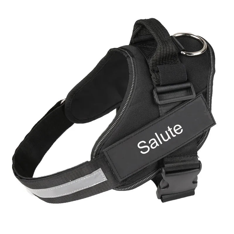 A personalised nylon dog harness with reflective strips, adjustable chest strap, and a sturdy handle shown on a dog.
