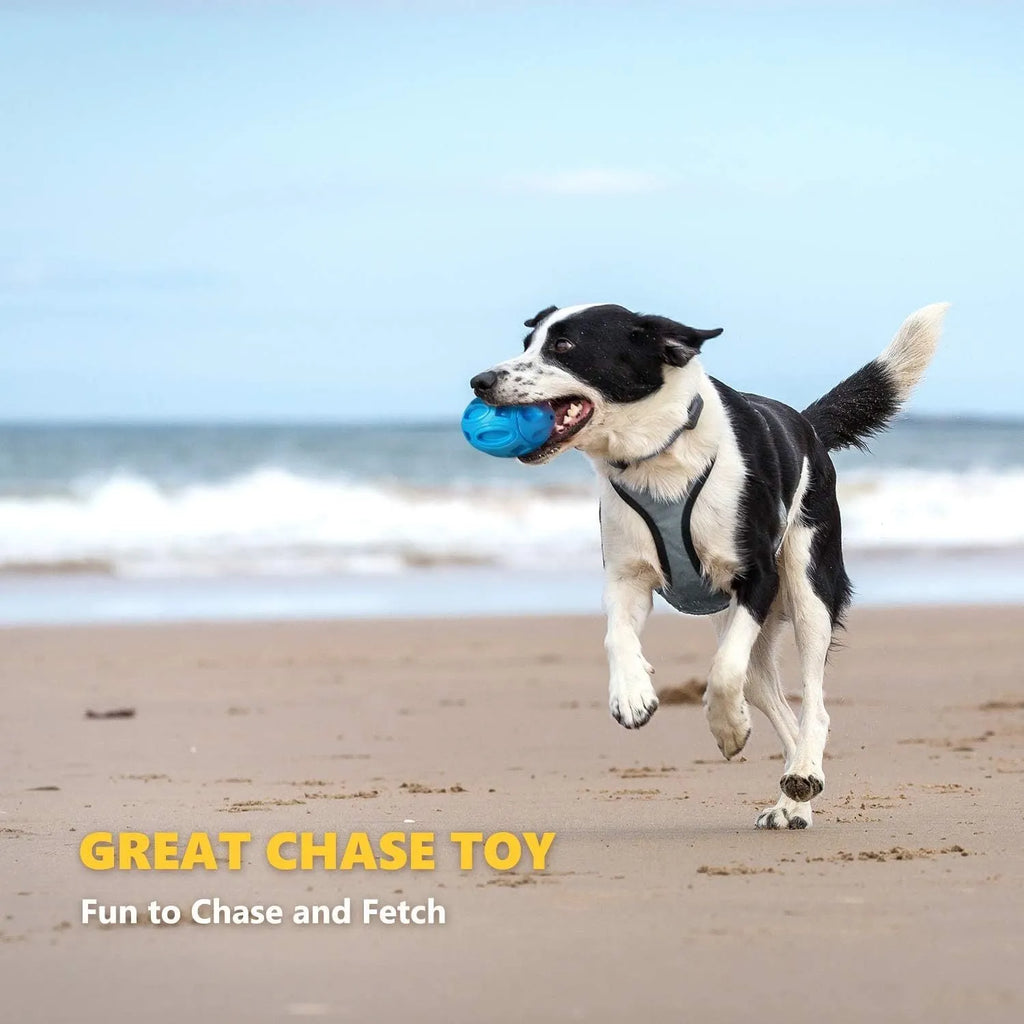Blue natural rubber squeaky dog chew ball with grooved surface, for medium and large breeds.