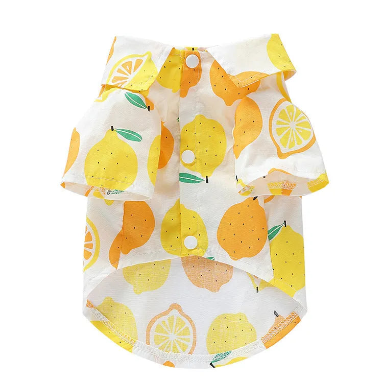 Fruit-themed casual polyester dog clothes in six colours on a small dog, size S to XL available