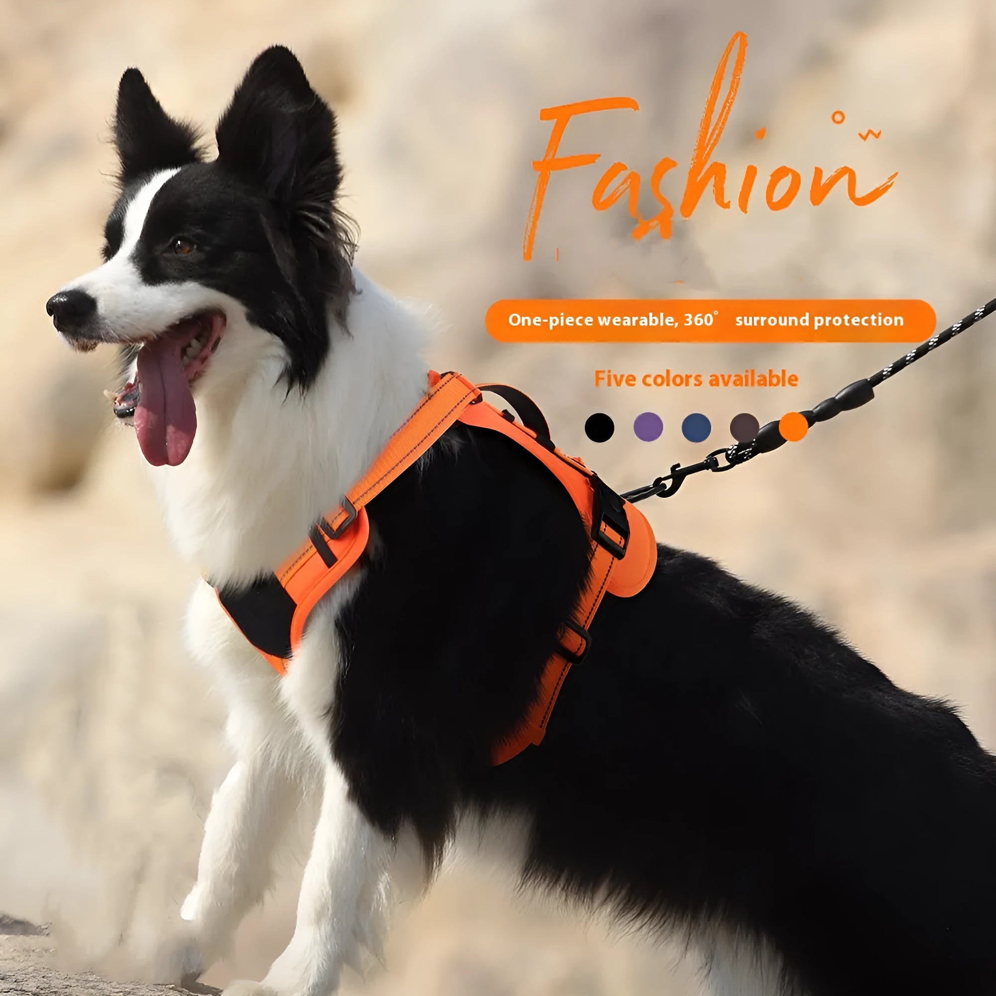 Reflective dog harness with hand-holding rope in adjustable sizes and multiple colour options