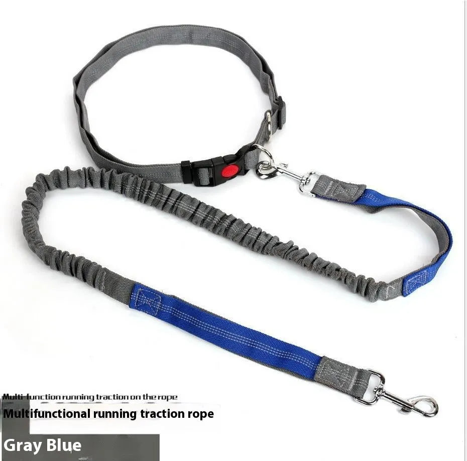 Grey and green two-tone nylon dog leash with reflective strip, showing 2.5cm width and clip.