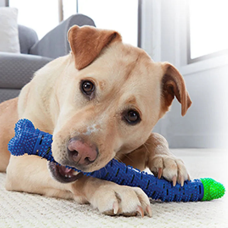 Blue green silicone dog toothbrush cleaning stick with textured surfaces and nodules for gum massage.